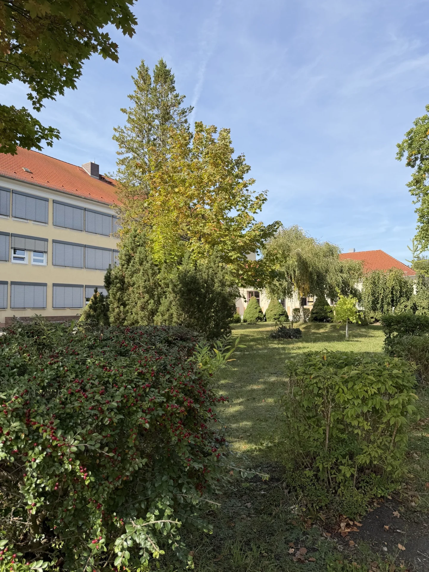 Gro&szlig;er, gr&uuml;ner Schulhof mit viel Platz zum Entspannen und Verweilen in den Pausen. 