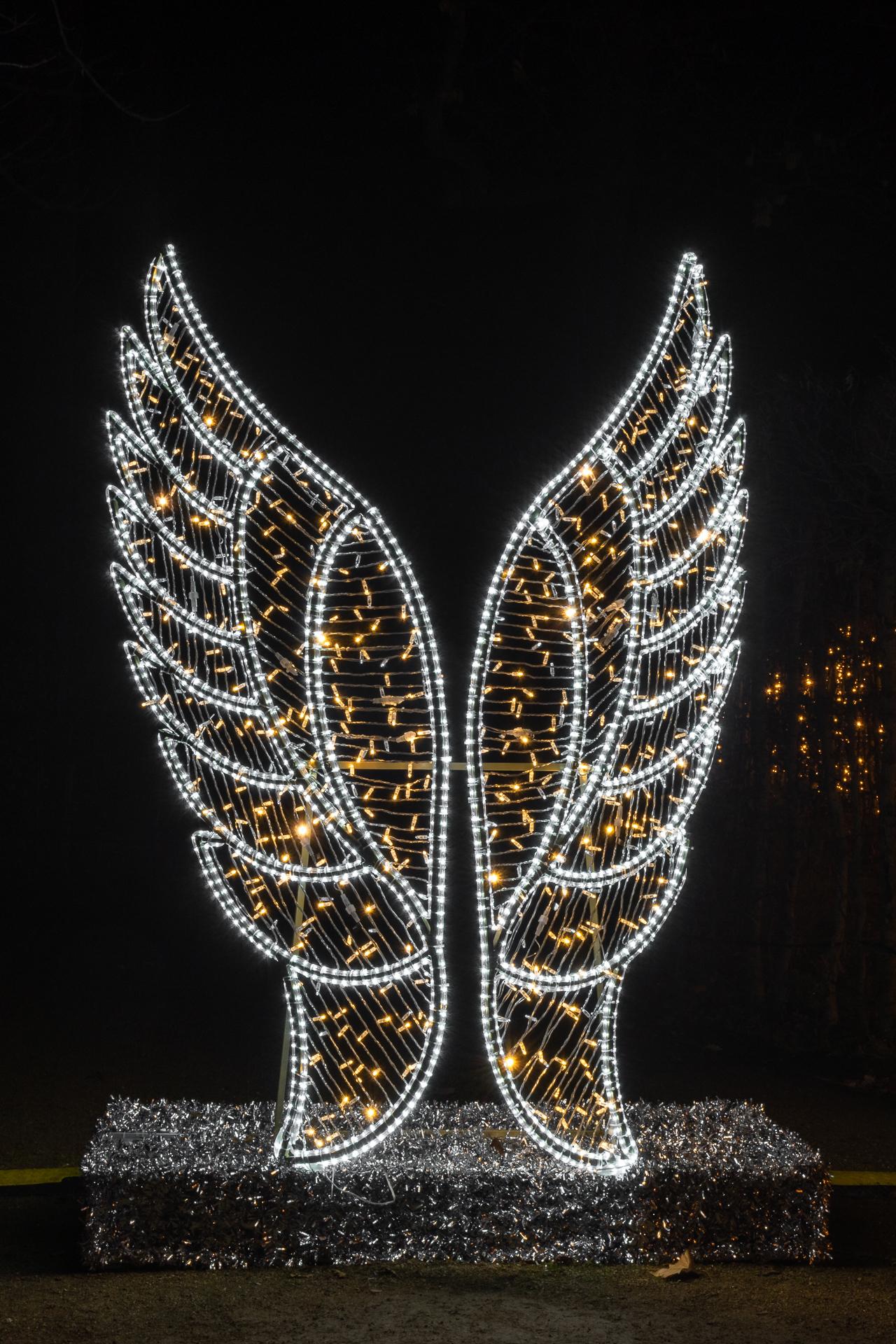Peter Haider - Christmas Garden Pillnitz  (Bild vergr&ouml;&szlig;ern)