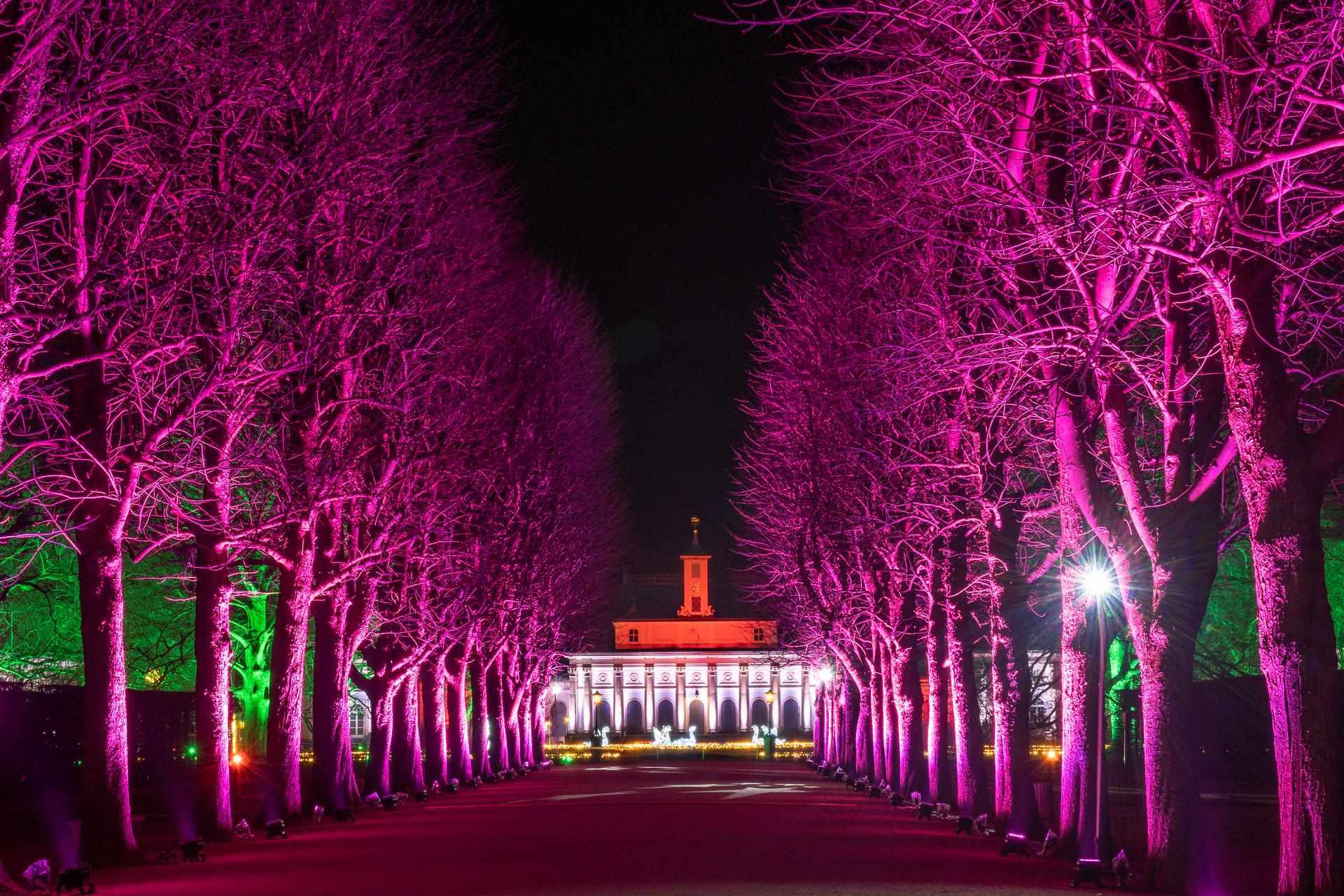 Peter Haider - Christmas Garden Pillnitz  (Bild vergr&ouml;&szlig;ern)