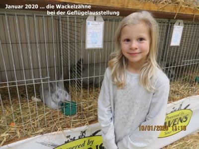 Vorschaubild: Geflügelausstellung Weißenborn