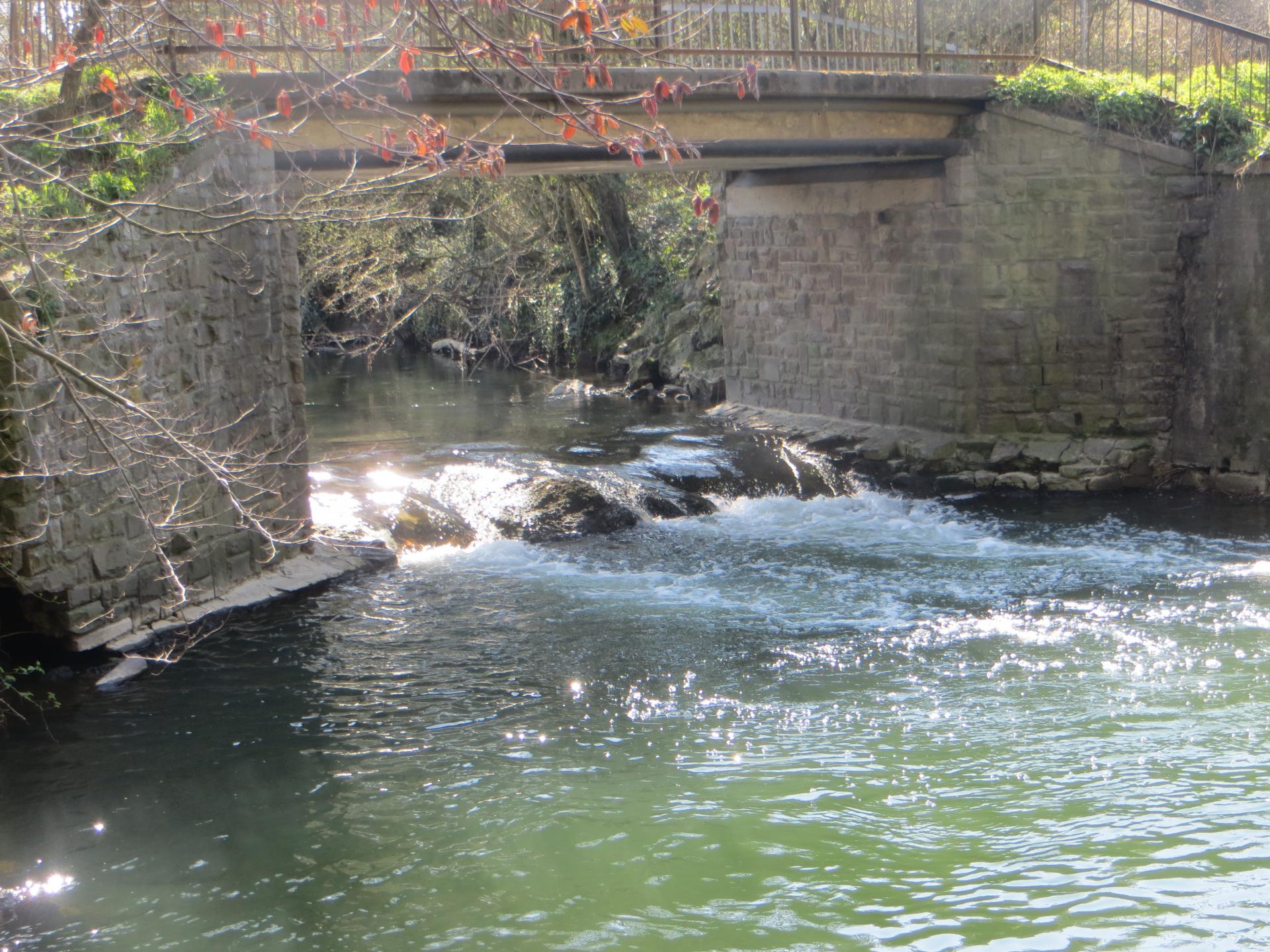 Die Wurm an der Br&uuml;cke im Bereich der Alten M&uuml;hle  (Bild vergr&ouml;&szlig;ern)