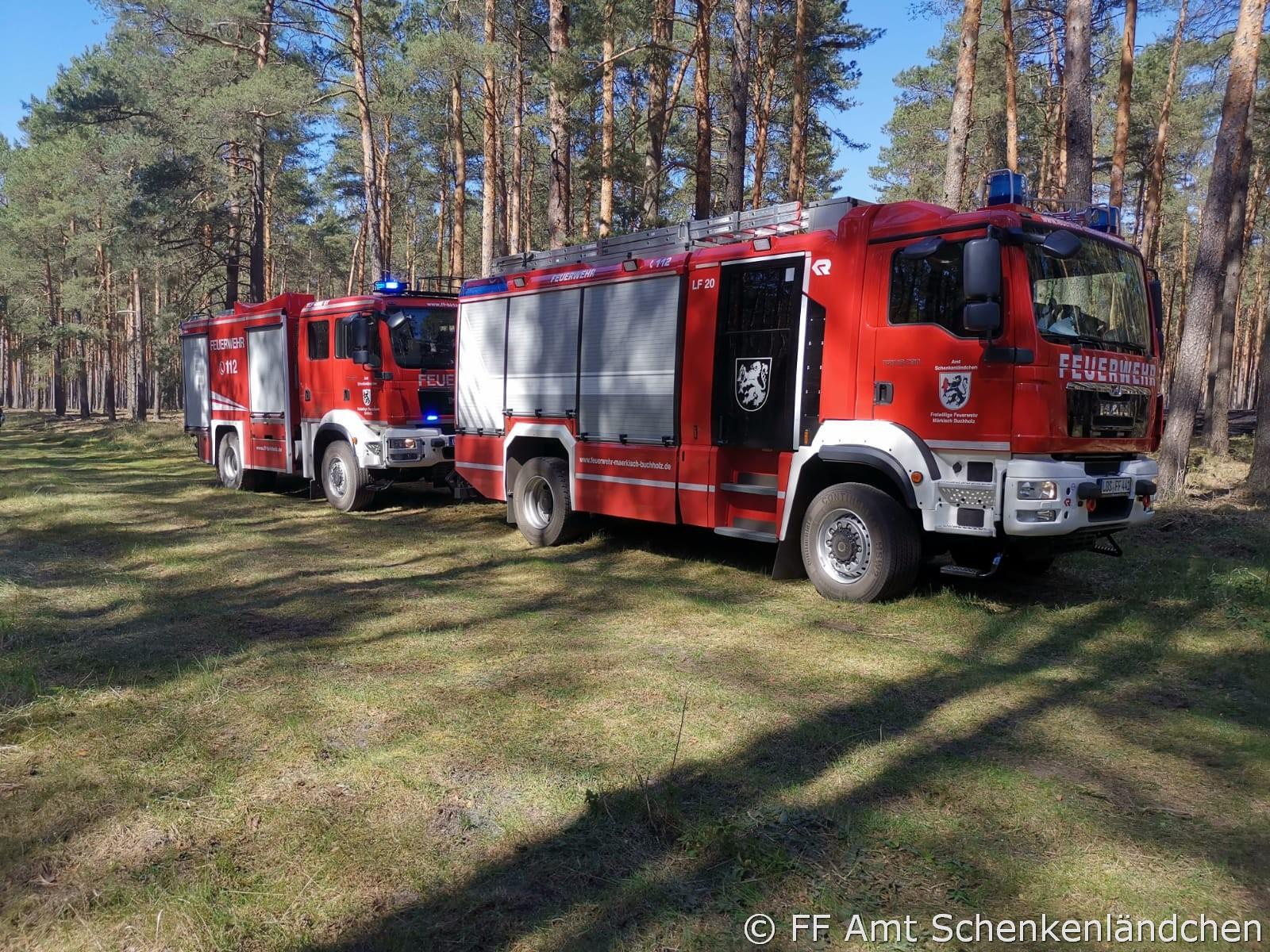 Foto der Galerie: Einsatz Nr. 28/2020 - B:Wald-Gross/WSP