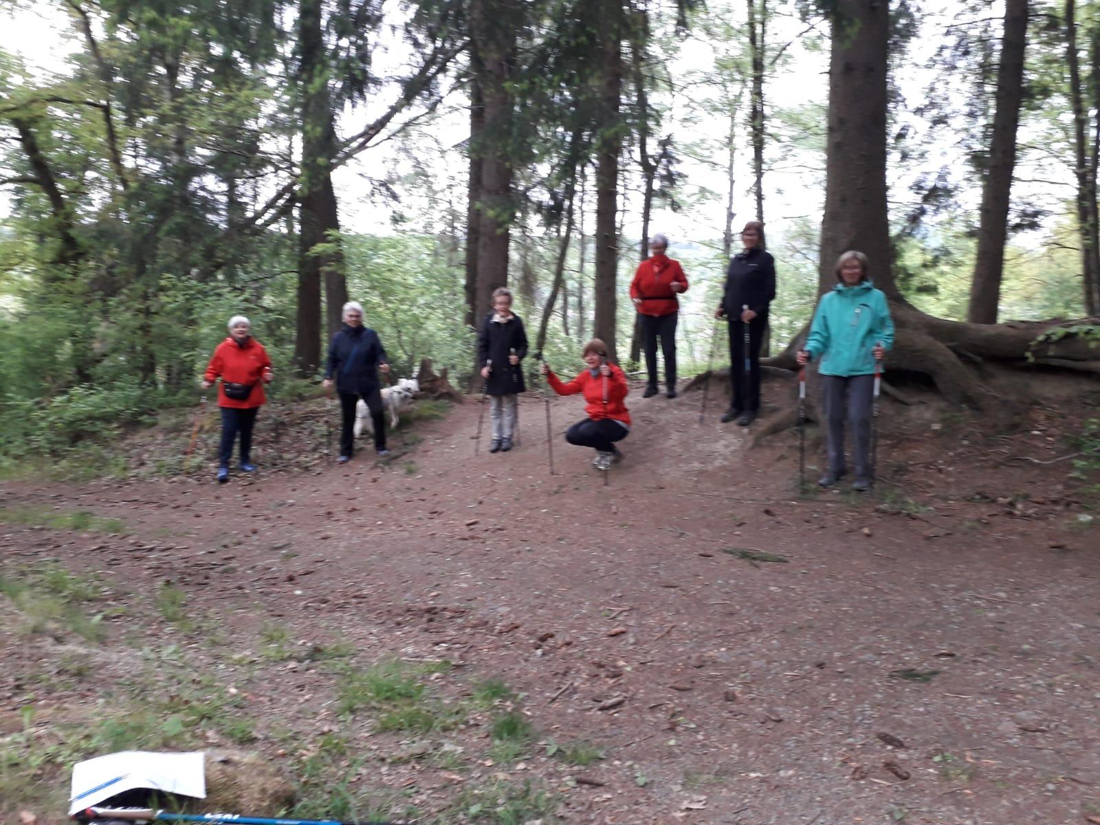 Foto der Galerie: Nordic Walking