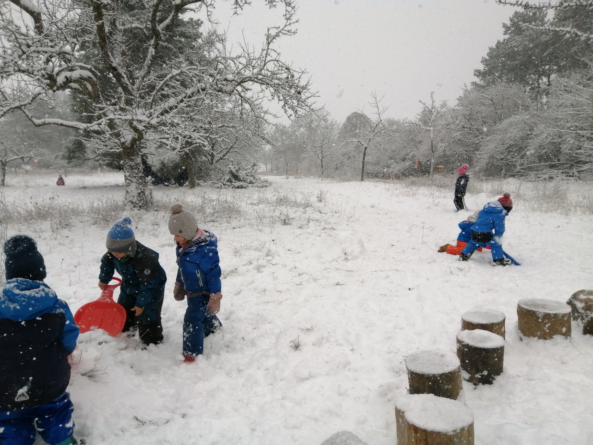  Waldkindergarten Ehingen e.V. - Kindergartenalltag Motiv 