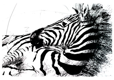Vorschaubild: Zebra
