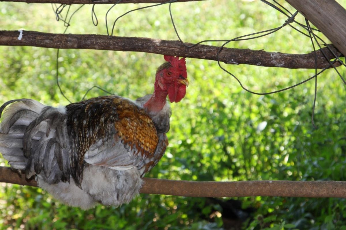 Foto der Galerie: Reise ins Projektgebiet im Juni 2017