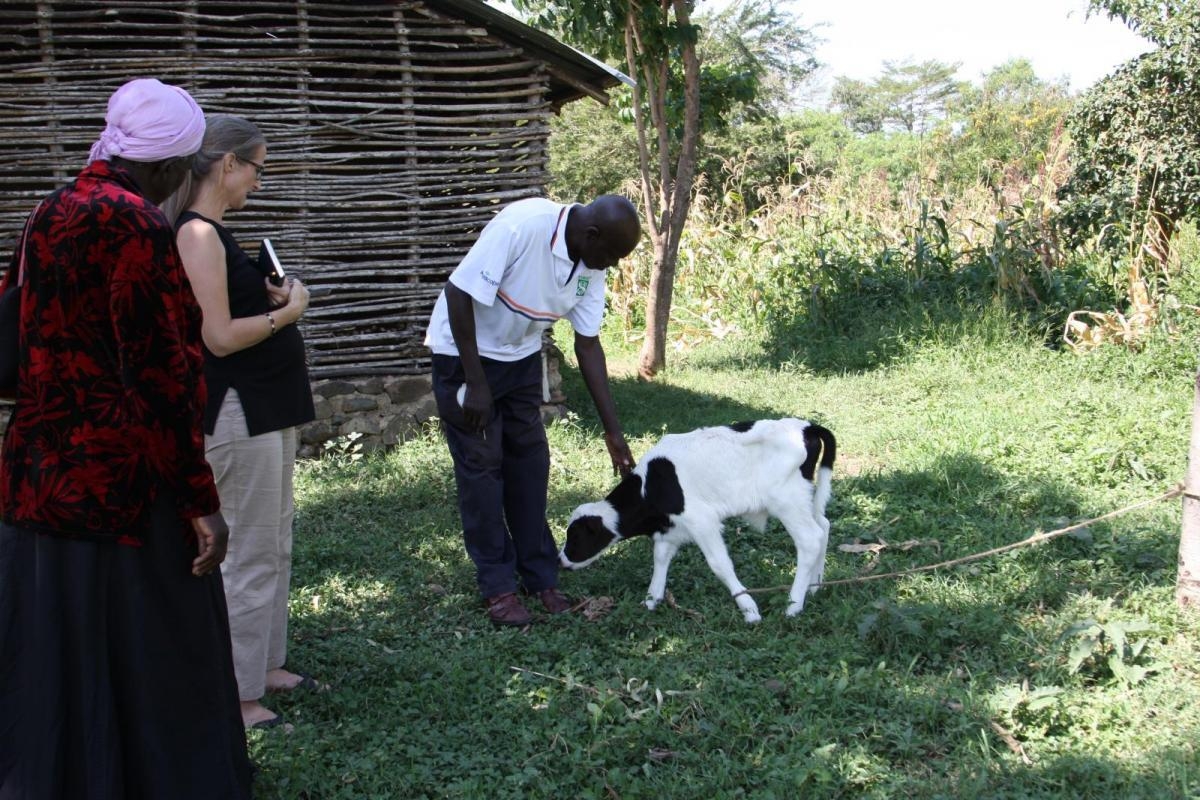 Foto der Galerie: Reise ins Projektgebiet im Juni 2017