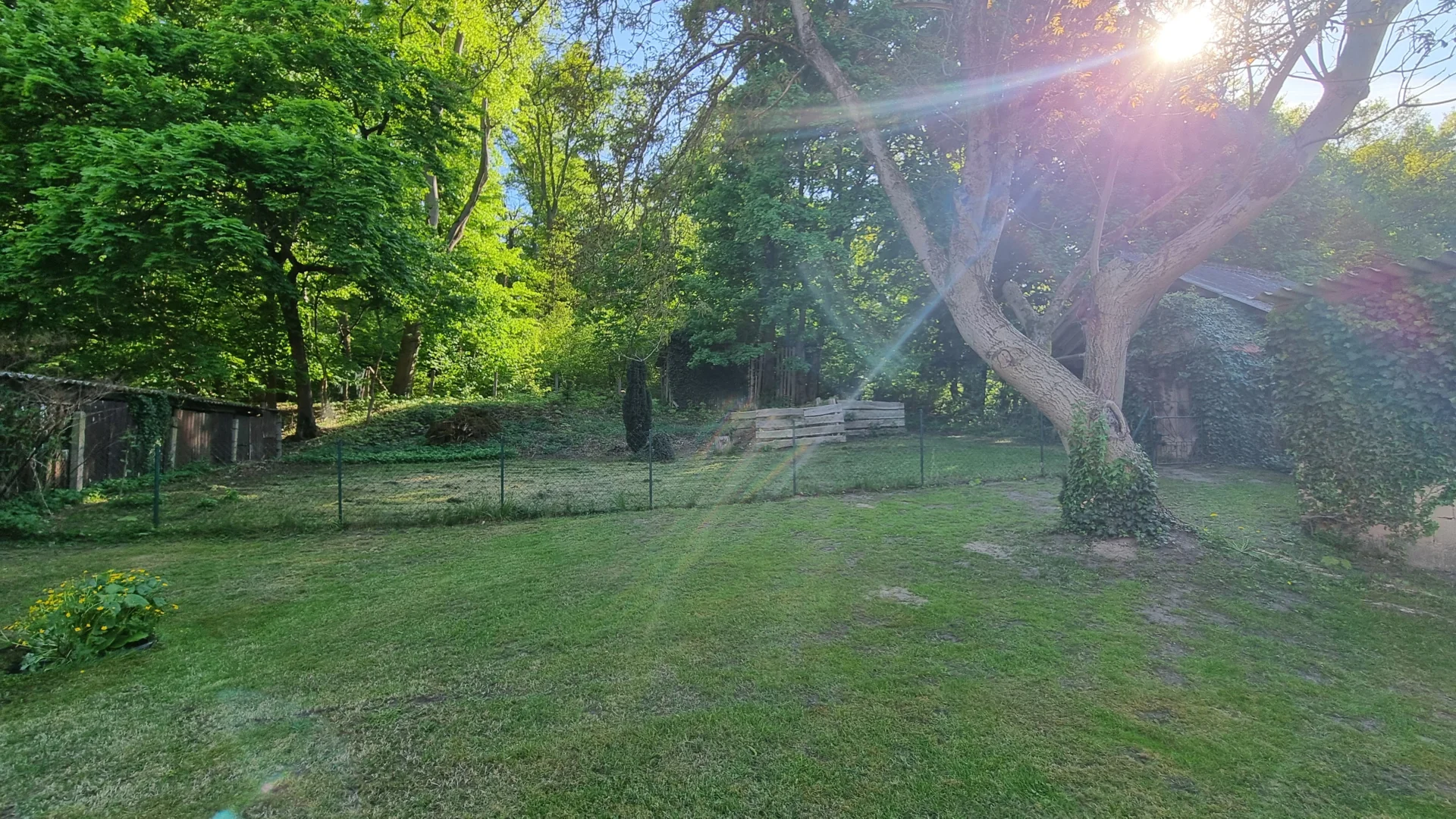 Bild: Eingezäunter Garten hinten