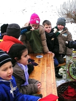 Bild: 6243