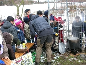 Bild: 6244