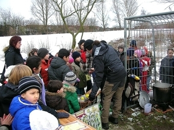 Bild: 6245