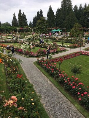 Vorschaubild: Blumeninsel Mainau