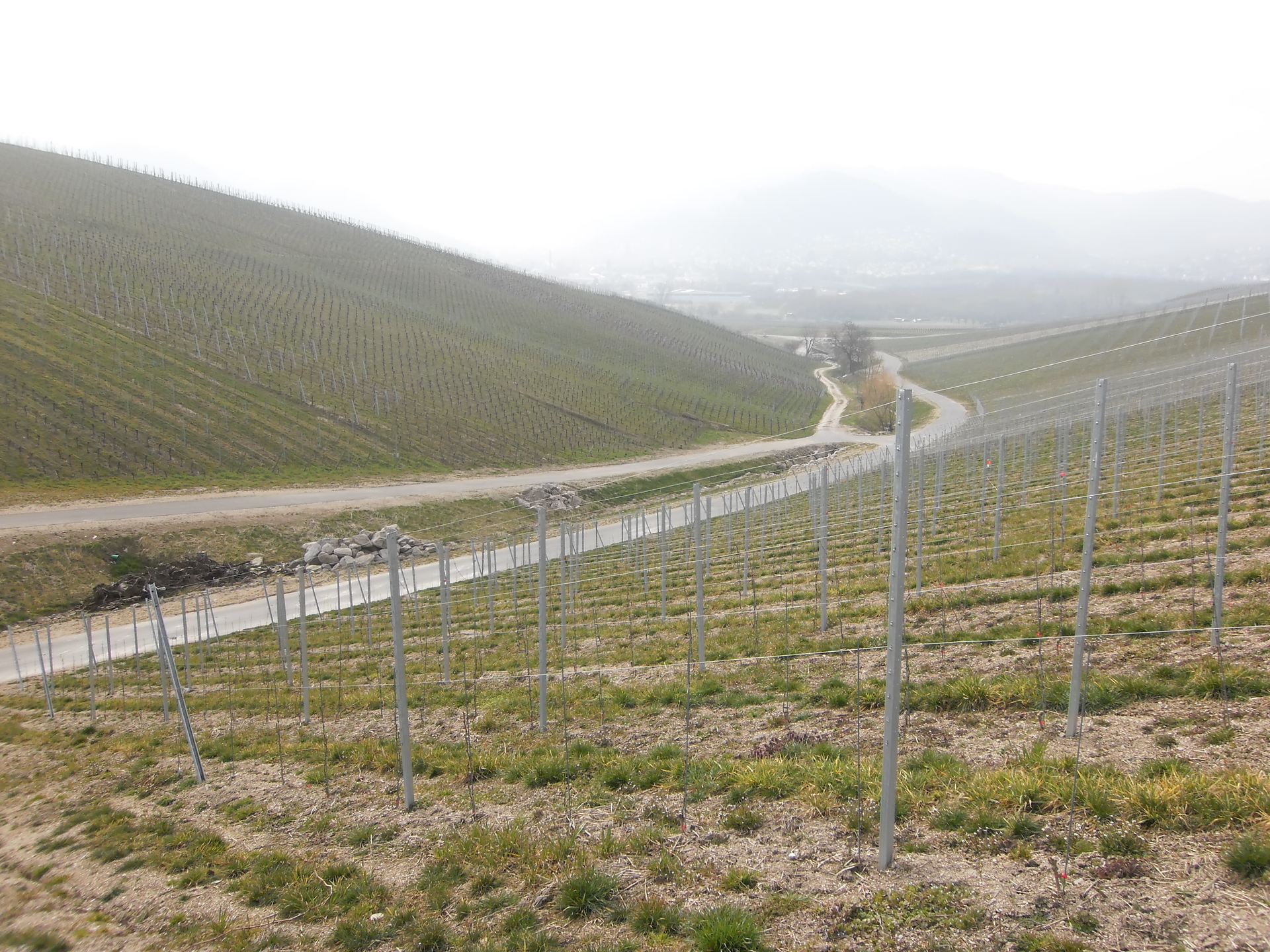 Ursprungszustand nach der Gel&auml;ndegestaltung  (Bild vergr&ouml;&szlig;ern)
