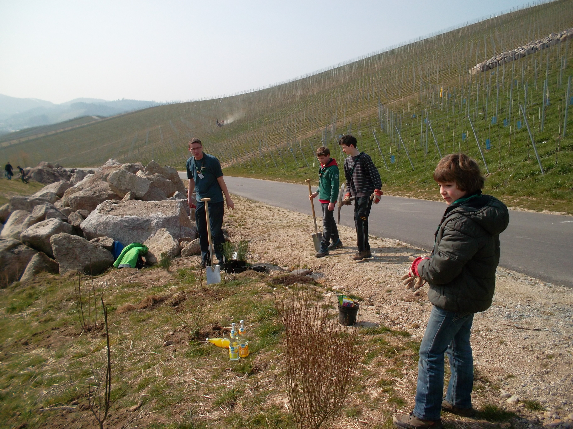 Die Waldjugend beim Pflanzen der Wildstr&auml;ucher  (Bild vergr&ouml;&szlig;ern)