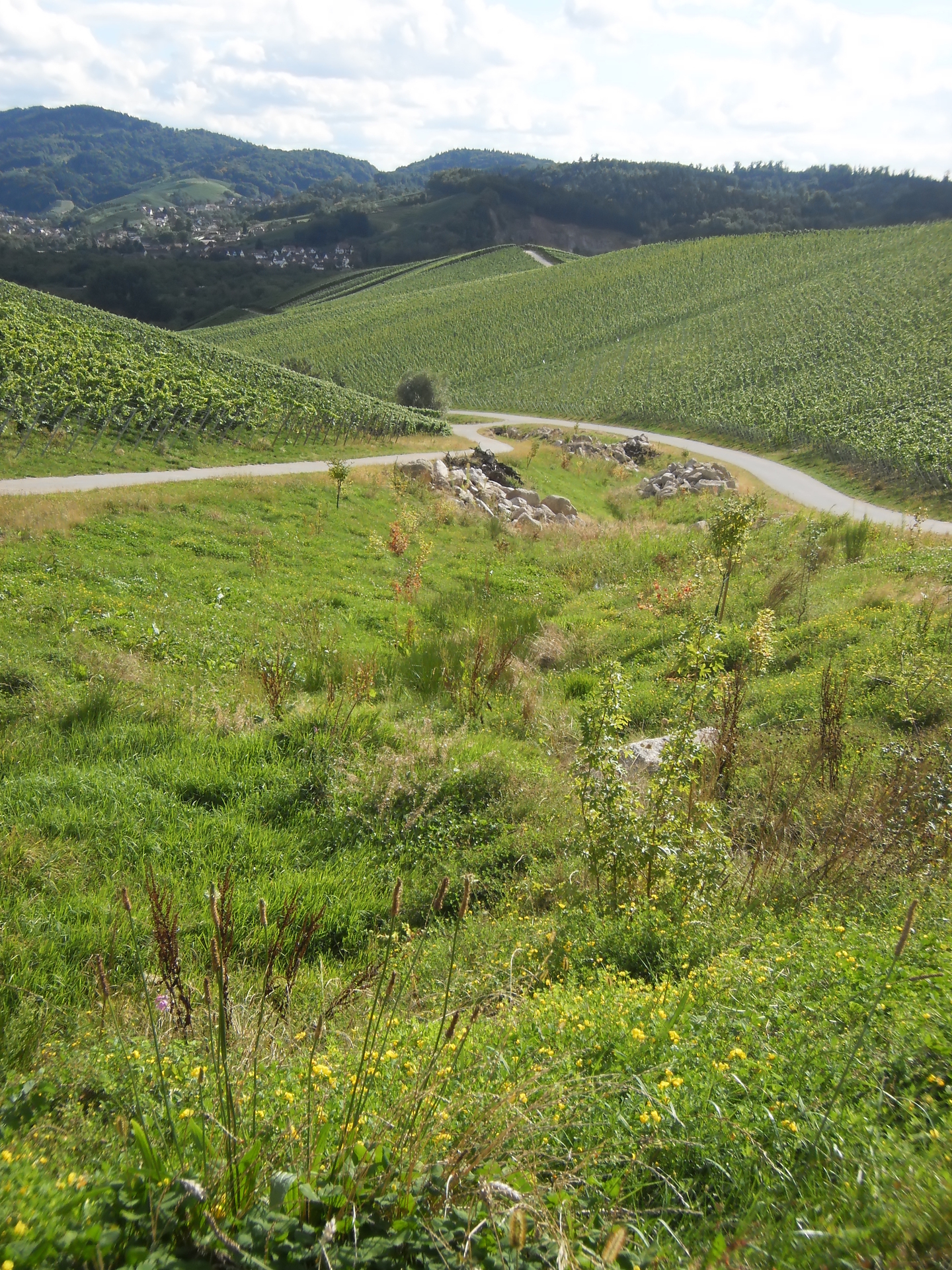 Zustand September 2013  (Bild vergr&ouml;&szlig;ern)