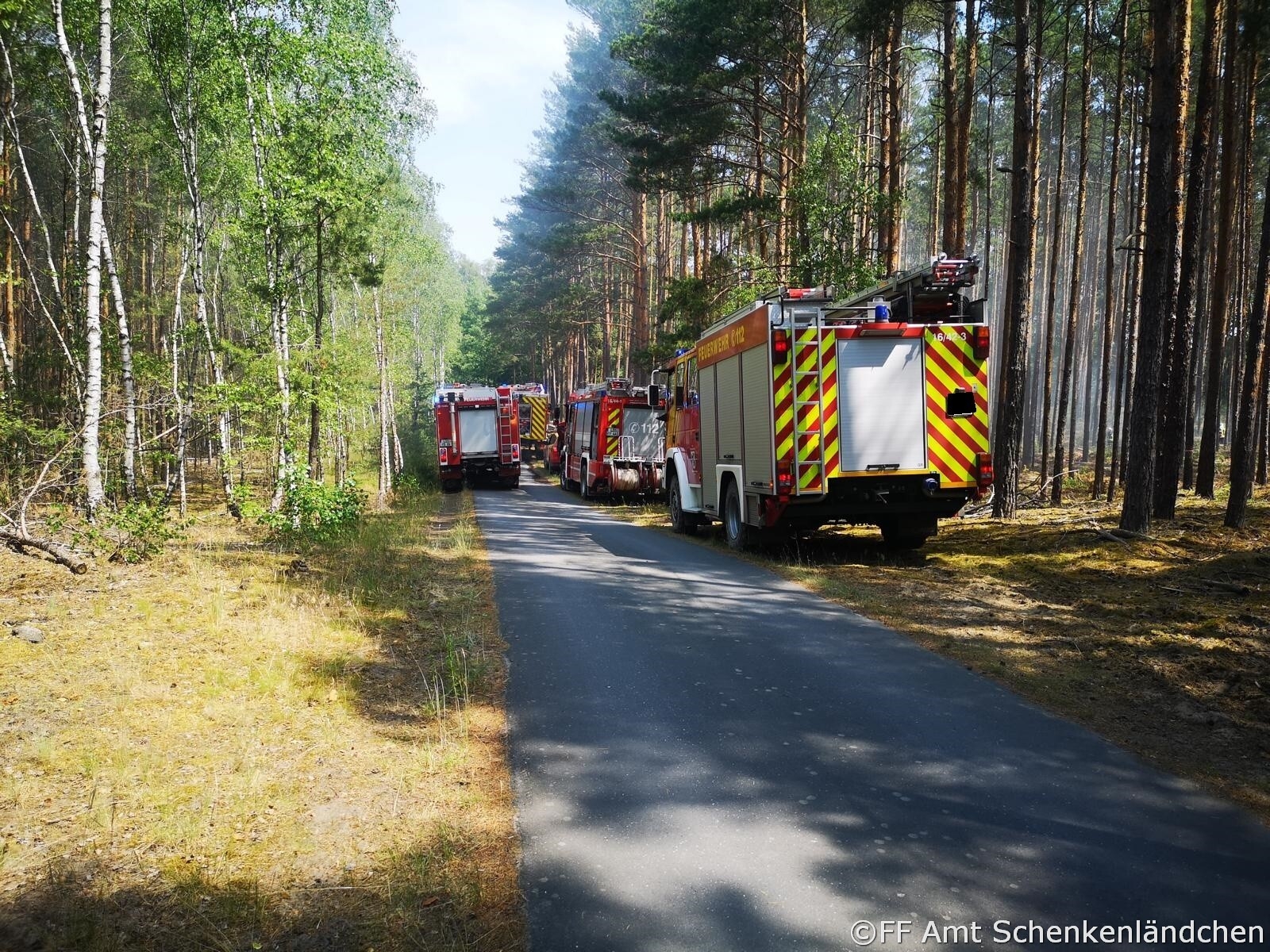 Foto der Galerie: Einsatz Nr. 39/2021 - B:Wald Gross/WSP