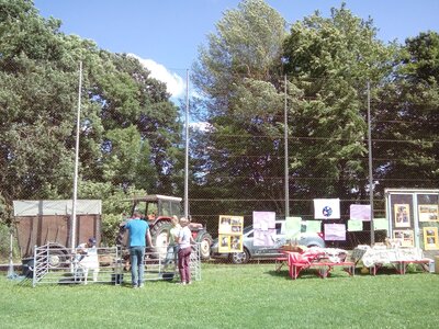 Vorschaubild: Spendenaktion an der Grundschule Großberg