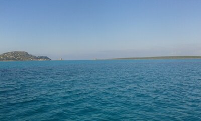 Vorschaubild: Blick vom Wasser links la Pelosa und rechts Isola Asinara