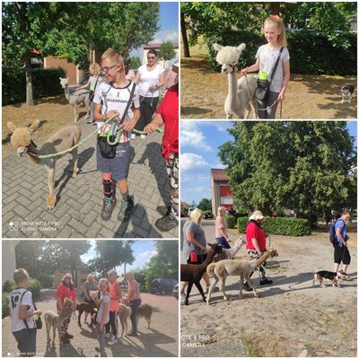 Vorschaubild: Wandertraining