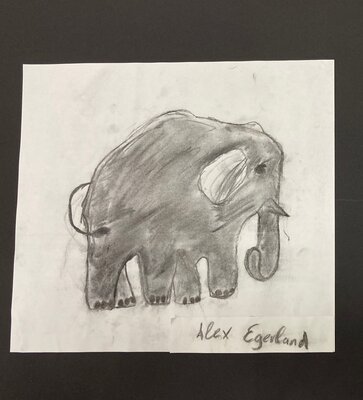 Vorschaubild: Elefant mit Kohle gezeichnet, Klasse 4b, 2020/21