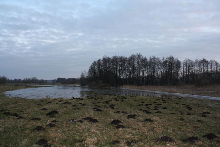 06.02.2014 Vern&auml;ssung 