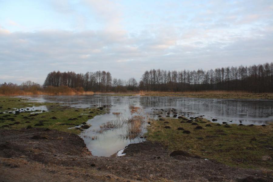 06.02.2014 Vern&auml;ssung 