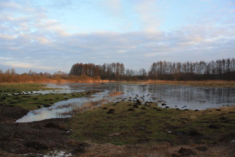 06.02.2014 Vern&auml;ssung 