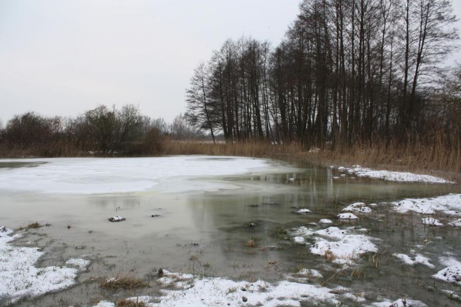 Vern&auml;ssung der Wiesen 