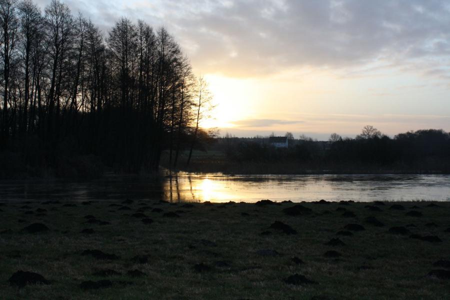 06.02.2014 Vern&auml;ssung 