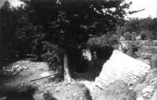 Vorschaubild: Hochwasser in Apolda 1953
