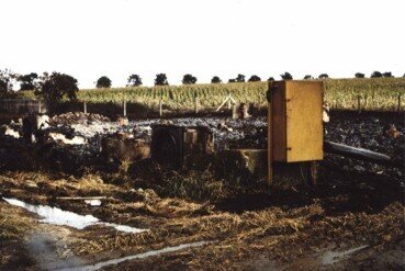 Vorschaubild: Scheunenbrand in der Stobraer Straße 1981