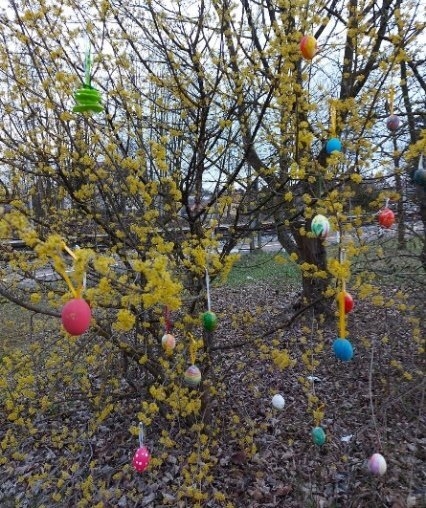 Bild: Ostern | Osterbox und OsterstrauchFür Kiga- und Grundschulkinder