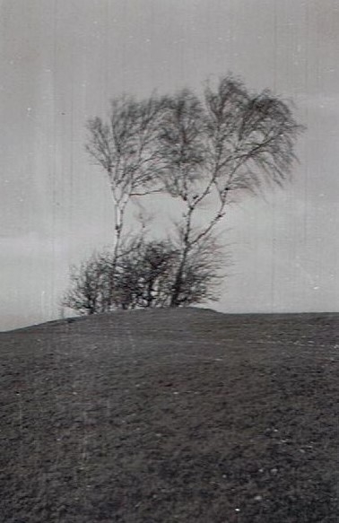 Bild: Kahlenberg - Steinbank