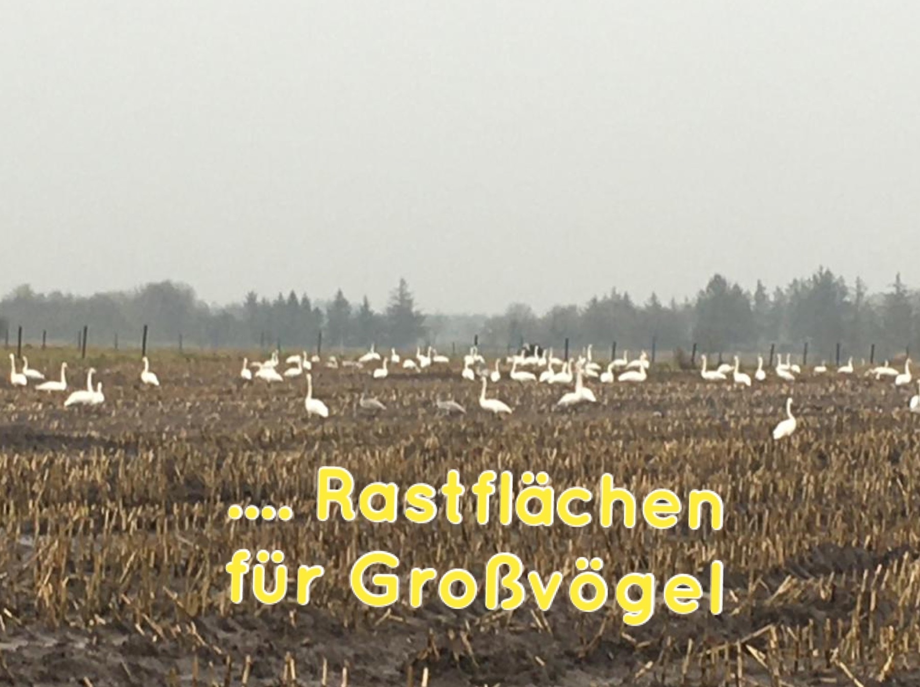 Foto der Galerie: Schnappschüsse