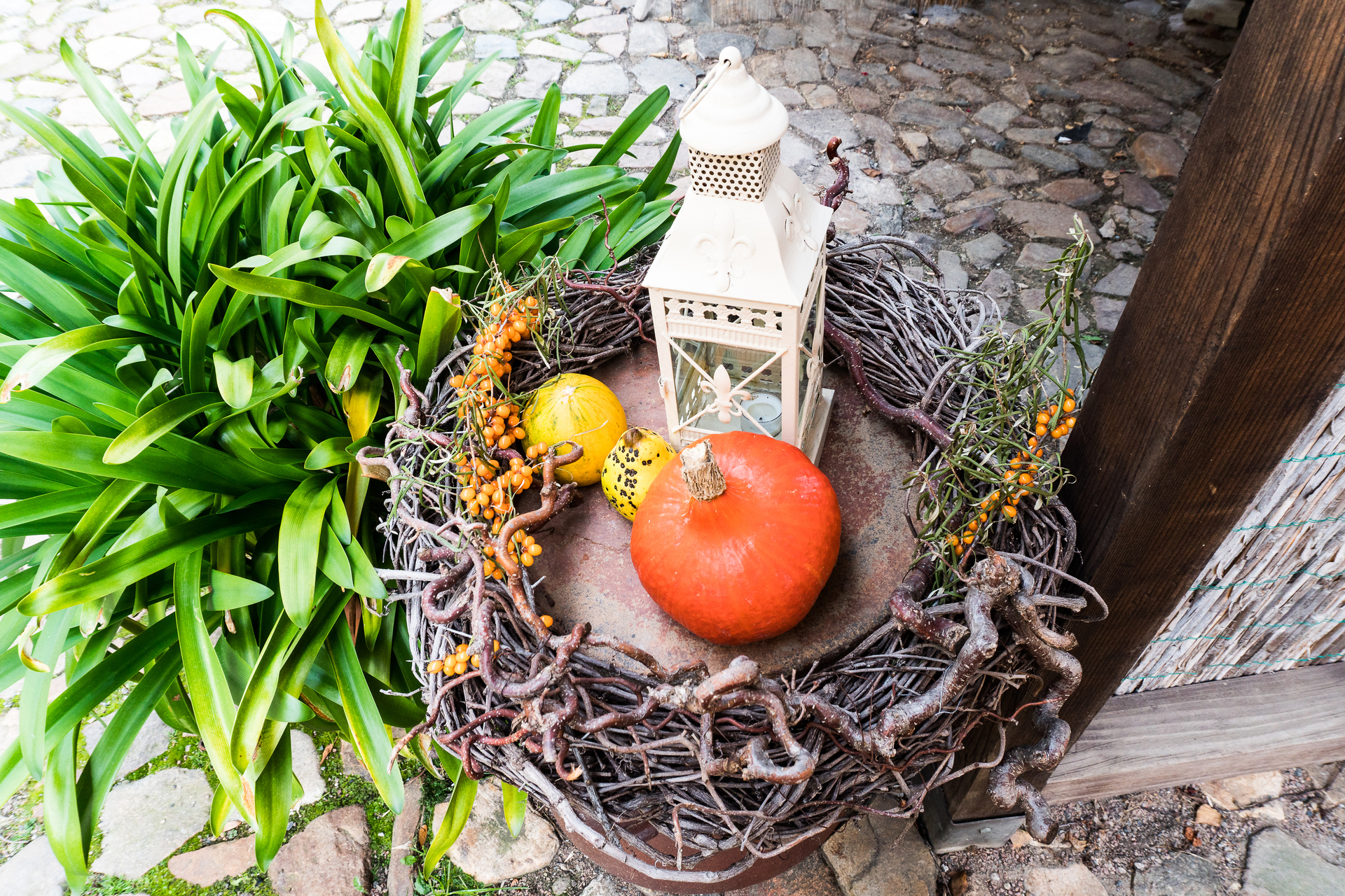 Herbstdekoration  (Bild vergr&ouml;&szlig;ern)
