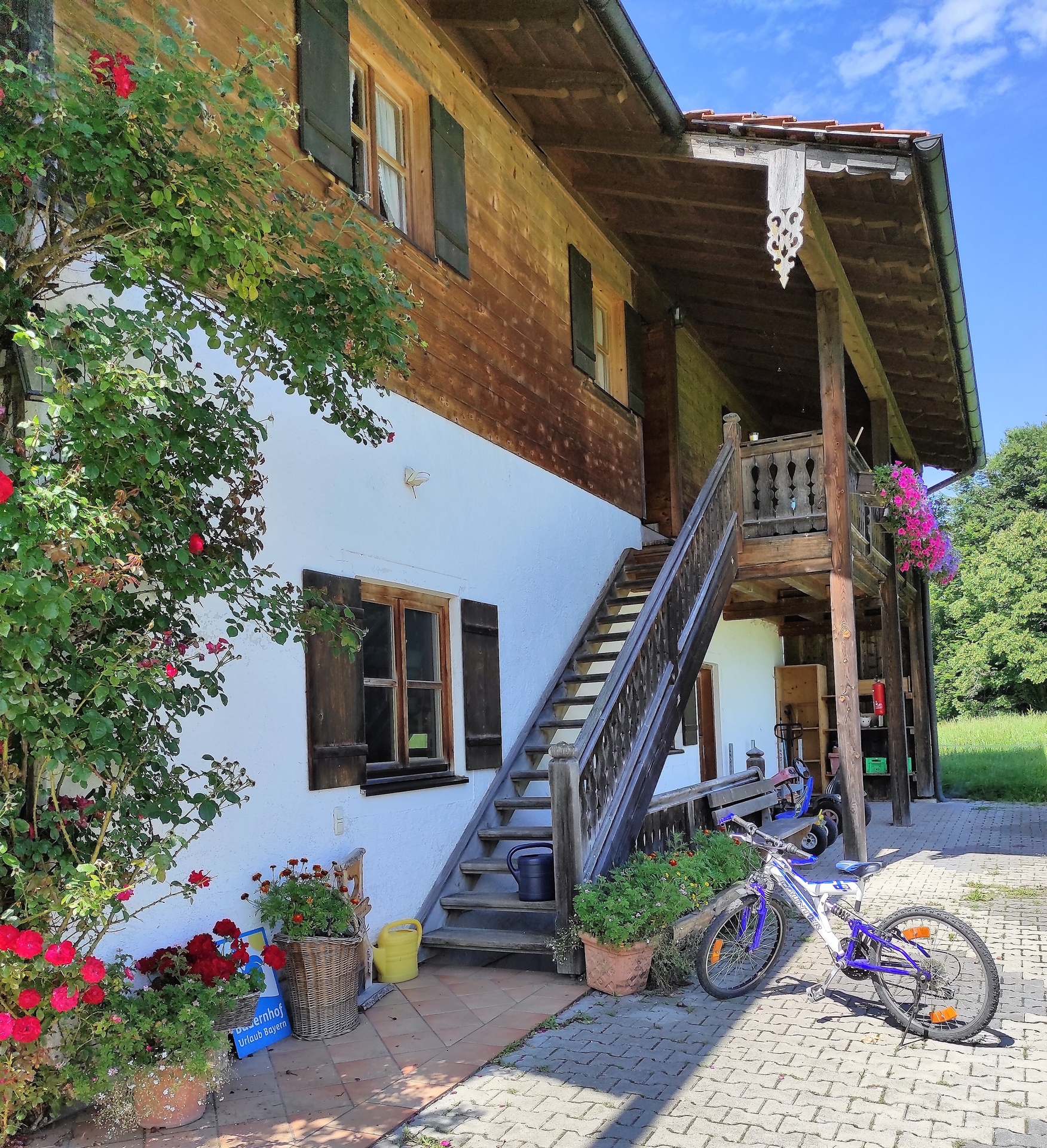 Treppe zum Eingang  (Bild vergr&ouml;&szlig;ern)