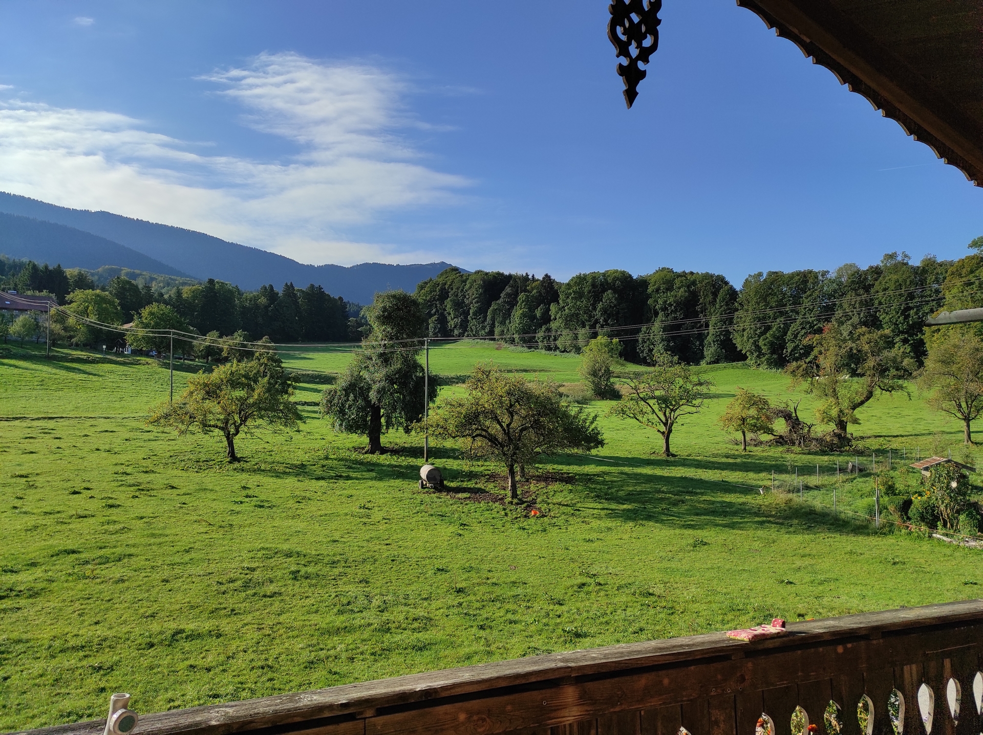 Ausblick vom Balkon  (Bild vergr&ouml;&szlig;ern)