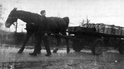 Vorschaubild: Anton Klaaßen fährt mit dem Milchwagen zur Molkerei nach Ihrhove. Fotoquelle: Joke Welp