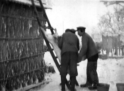 Vorschaubild: Beim Schlachten Hermann Baumhöfer (rechts) und Joke Welp (steht mit dem Rücken zum Fotografen).