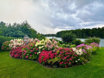 Vorschaubild: Gartenblick