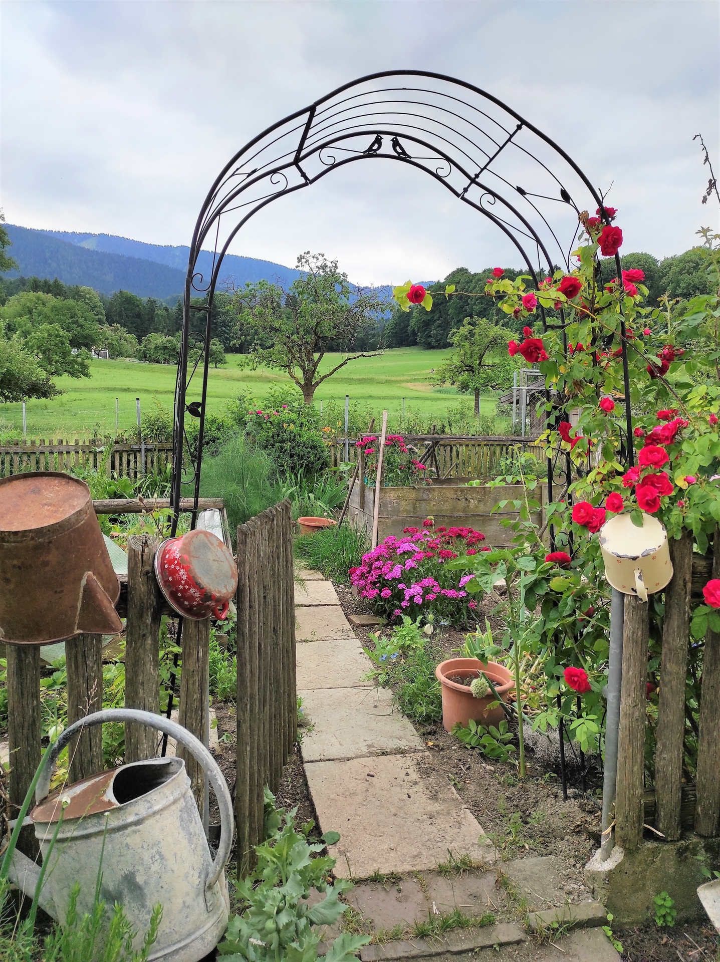 Eingang zum Garten  (Bild vergr&ouml;&szlig;ern)