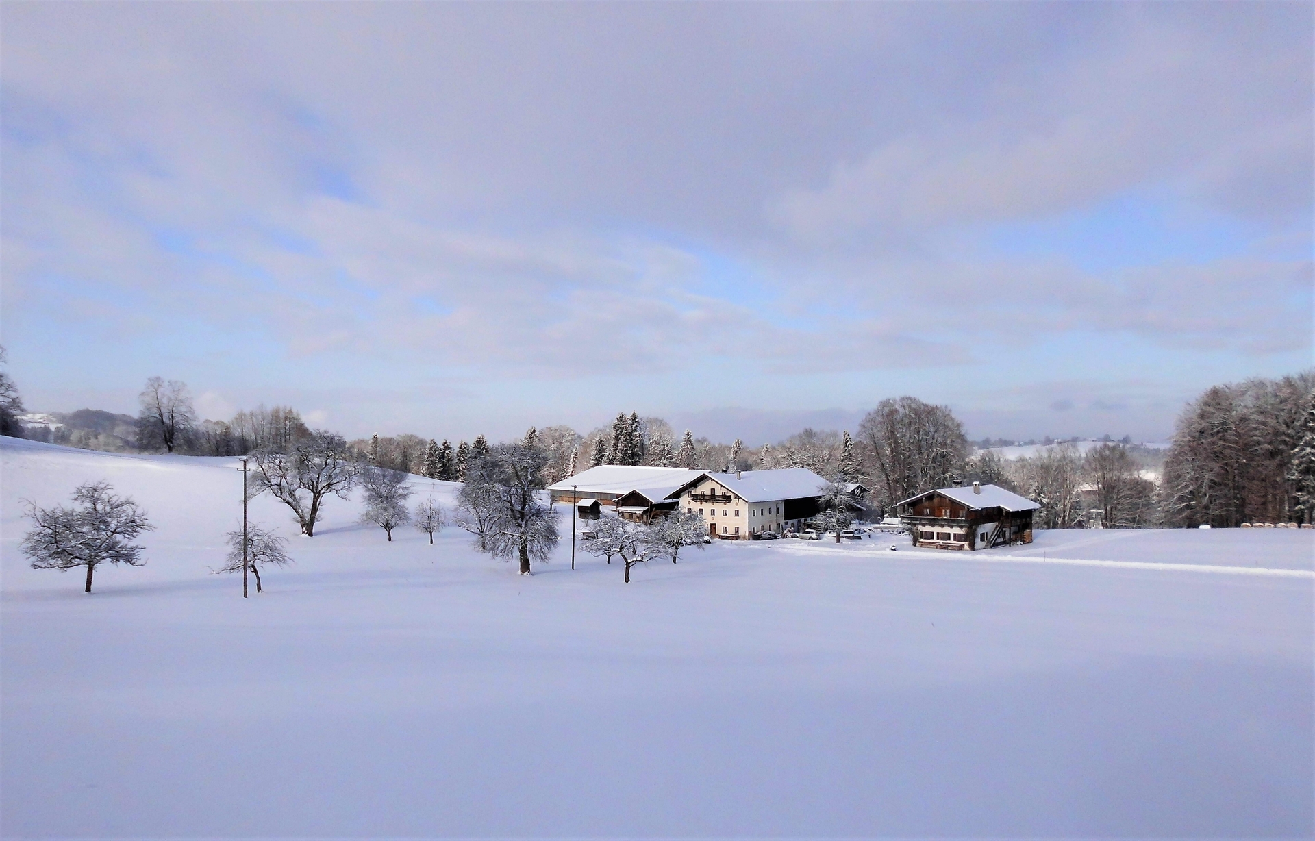 Verschneiter Hof  (Bild vergr&ouml;&szlig;ern)
