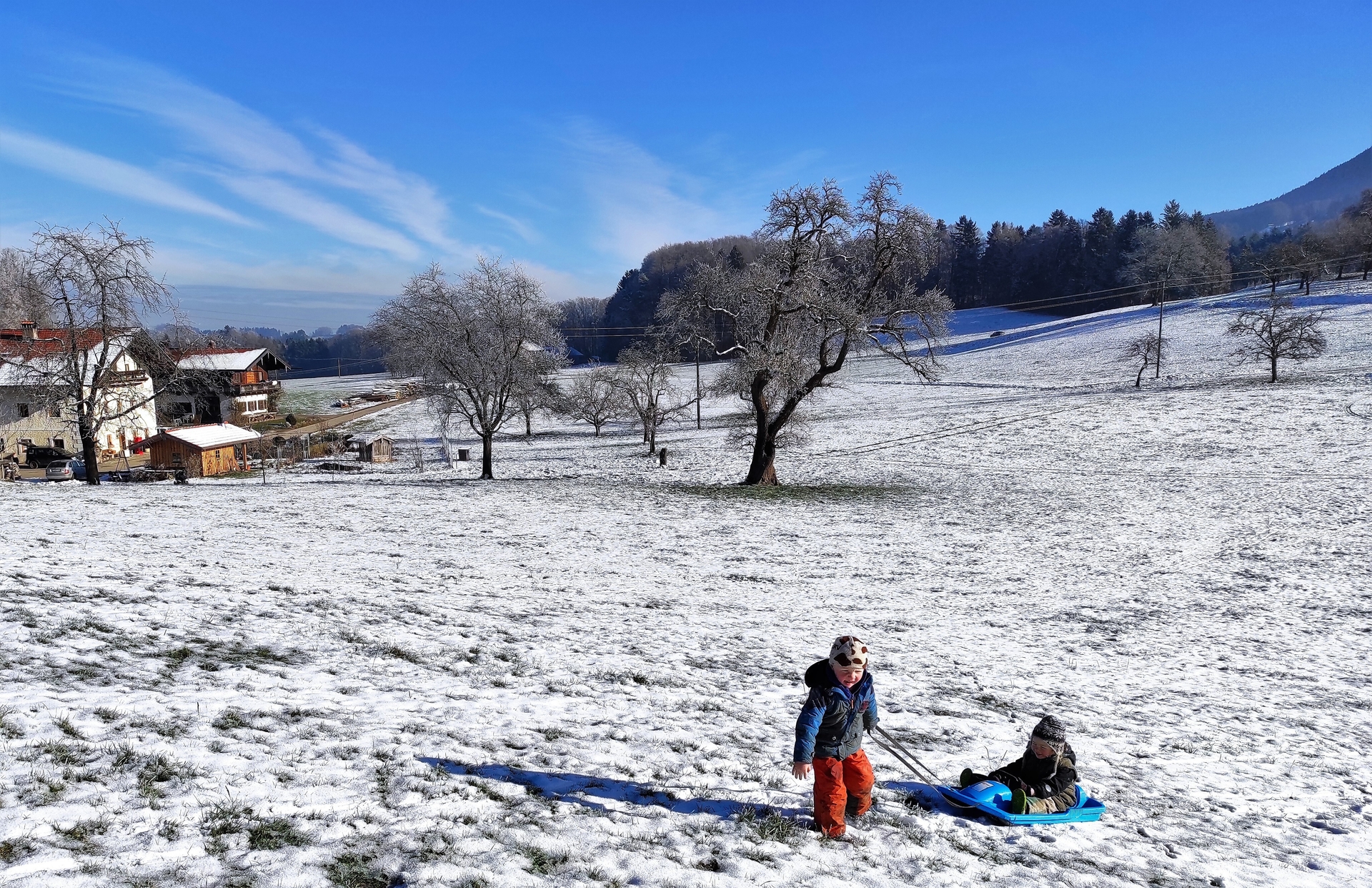 Schlittenfahren  (Bild vergr&ouml;&szlig;ern)