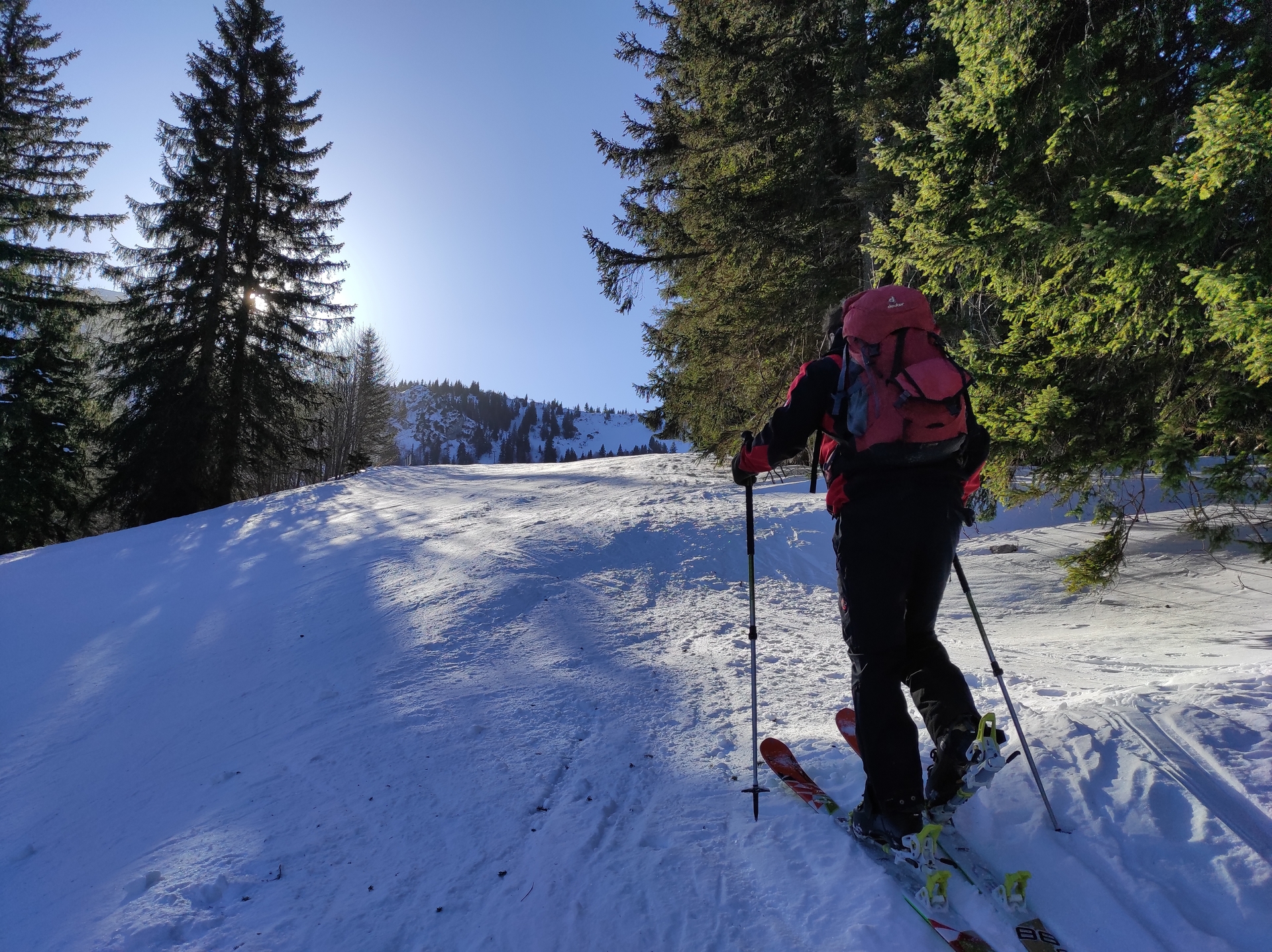 Tourenski  (Bild vergr&ouml;&szlig;ern)