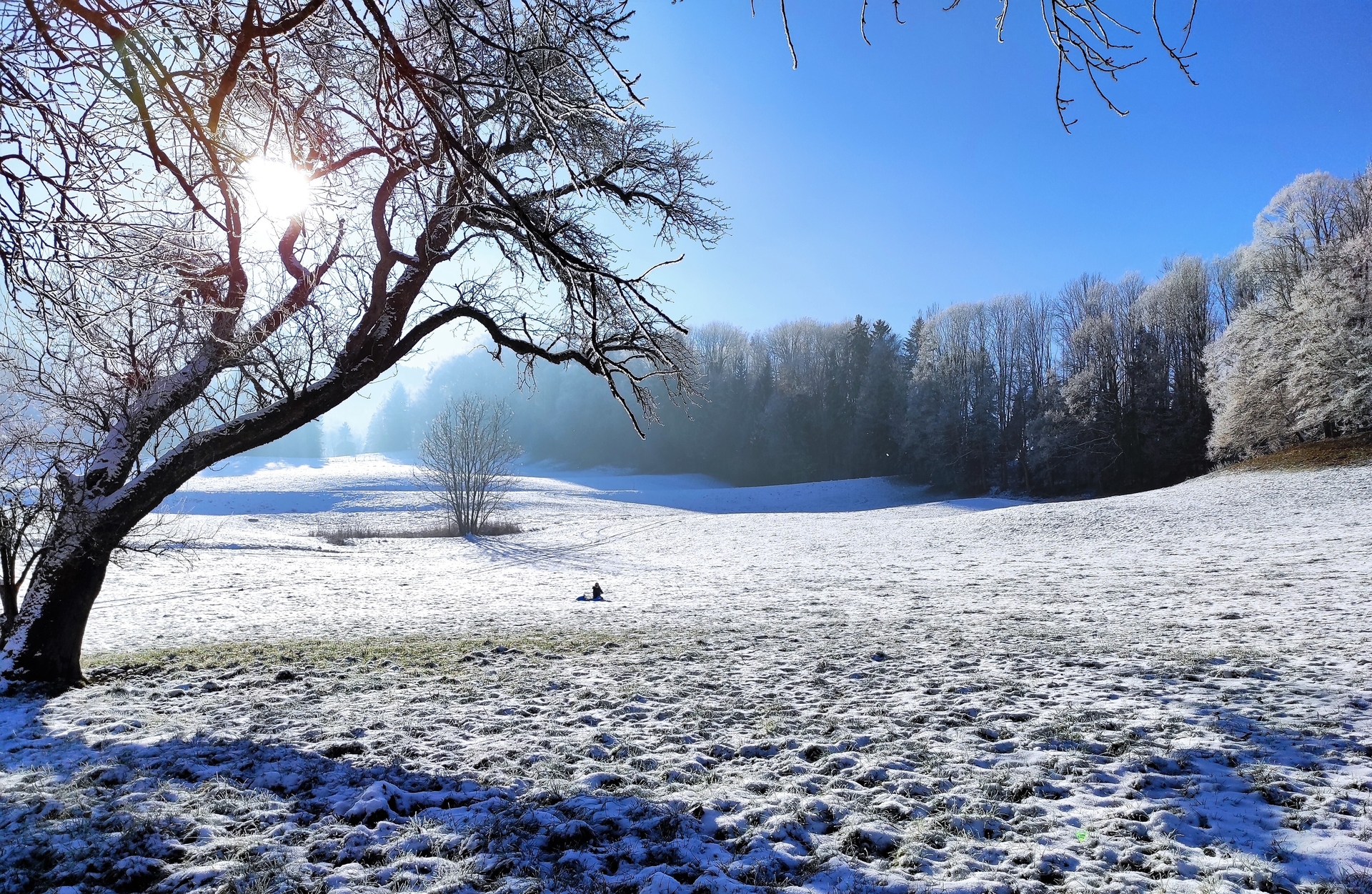 Winterlandschaft vorm Haus  (Bild vergr&ouml;&szlig;ern)