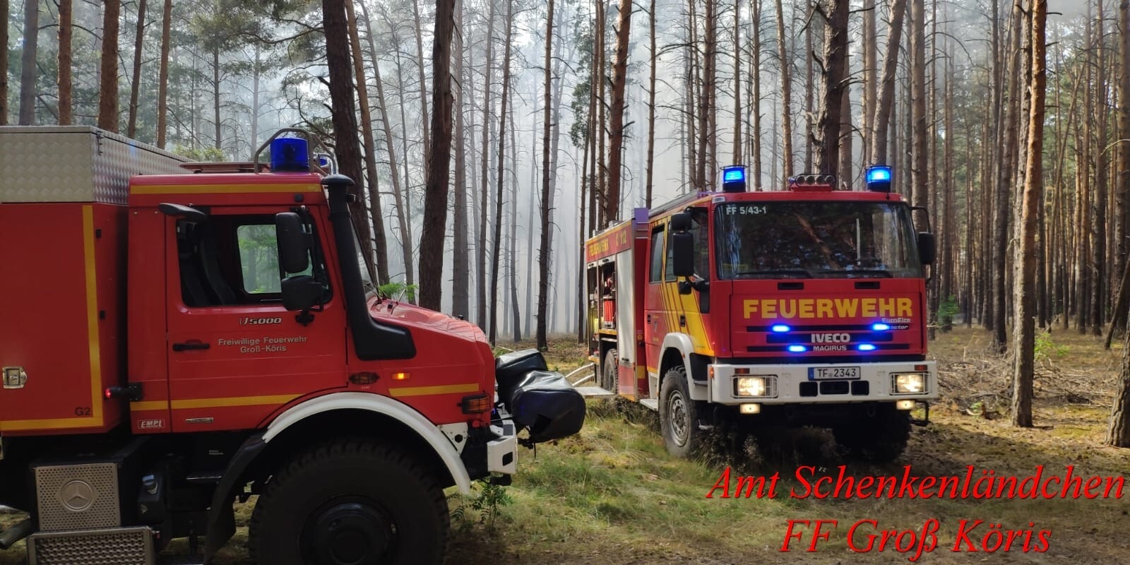 Foto der Galerie: Einsatz Nr. 64/2022 - B:Wald Gross/WSP
