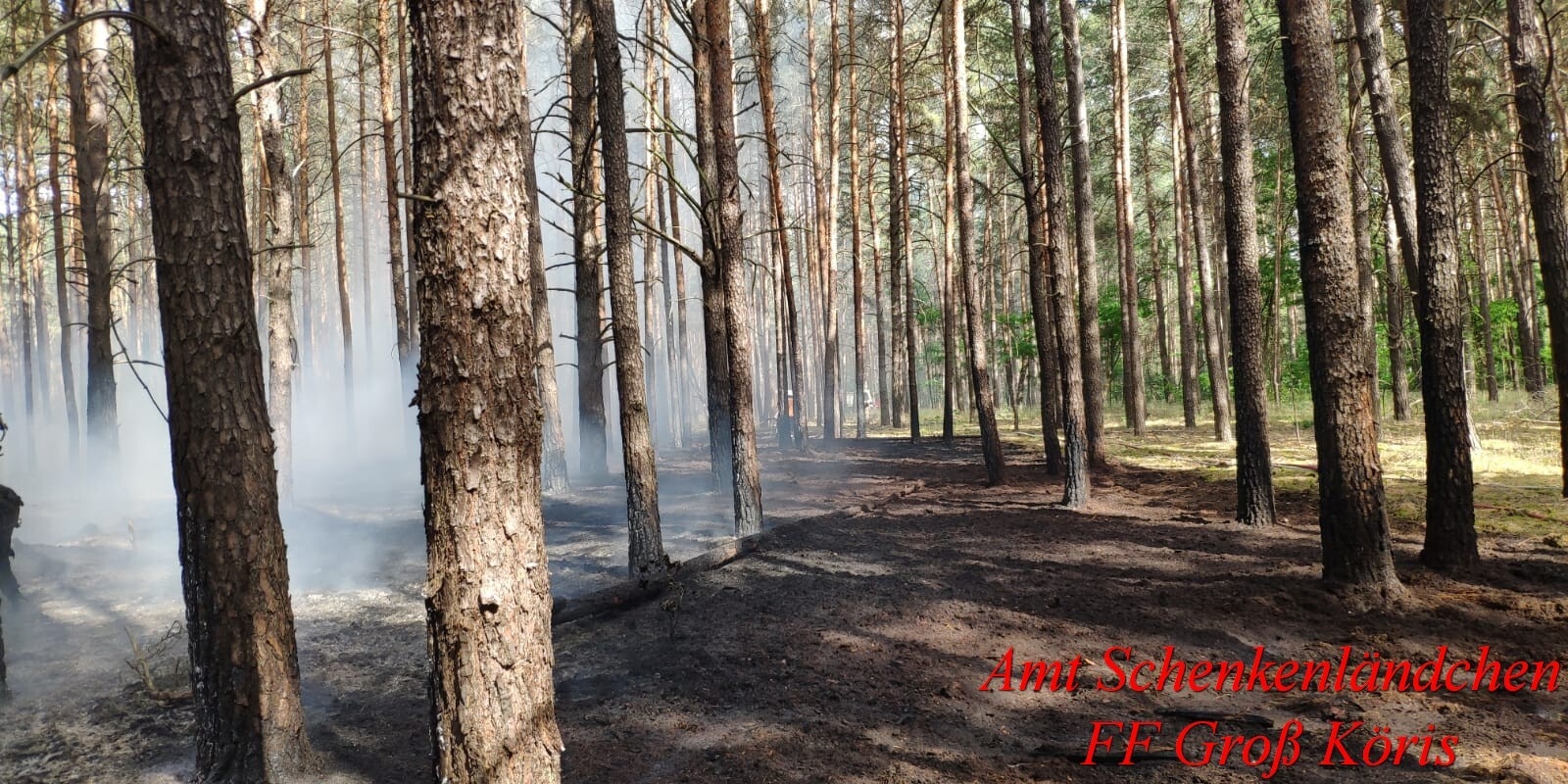 Foto der Galerie: Einsatz Nr. 64/2022 - B:Wald Gross/WSP