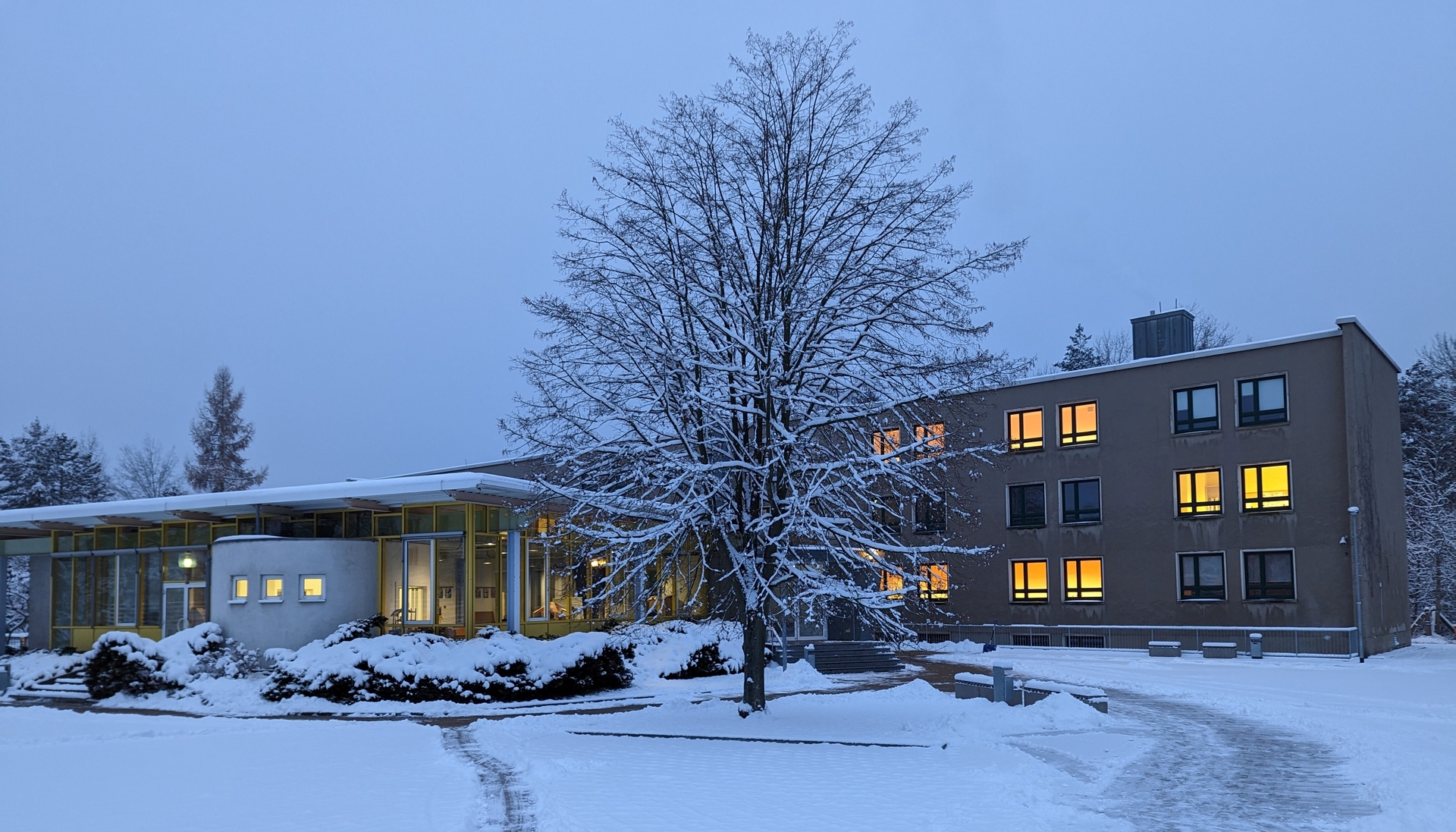 Bild: Winter