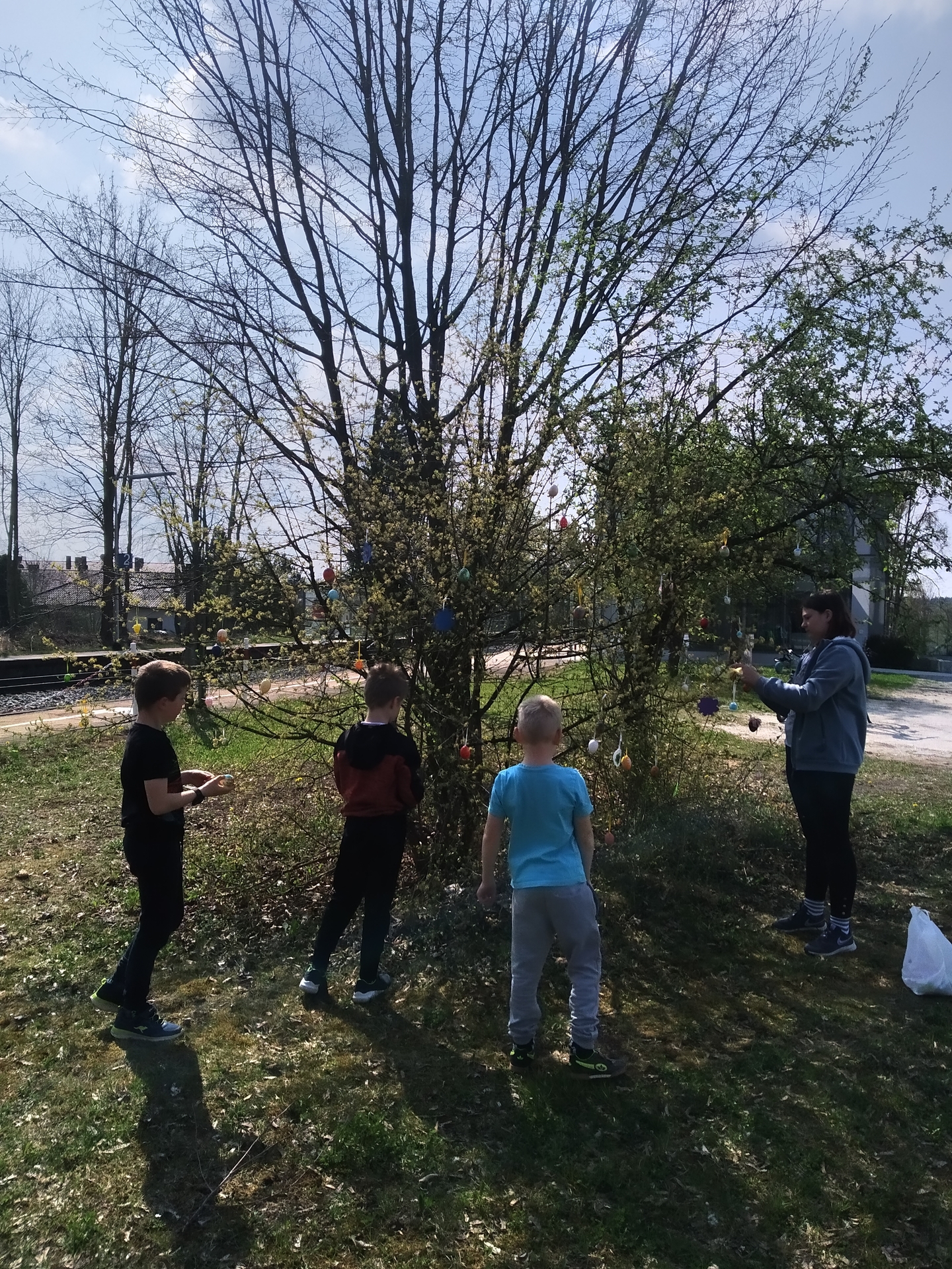Bild: 10.04.2022 Osterstrauch