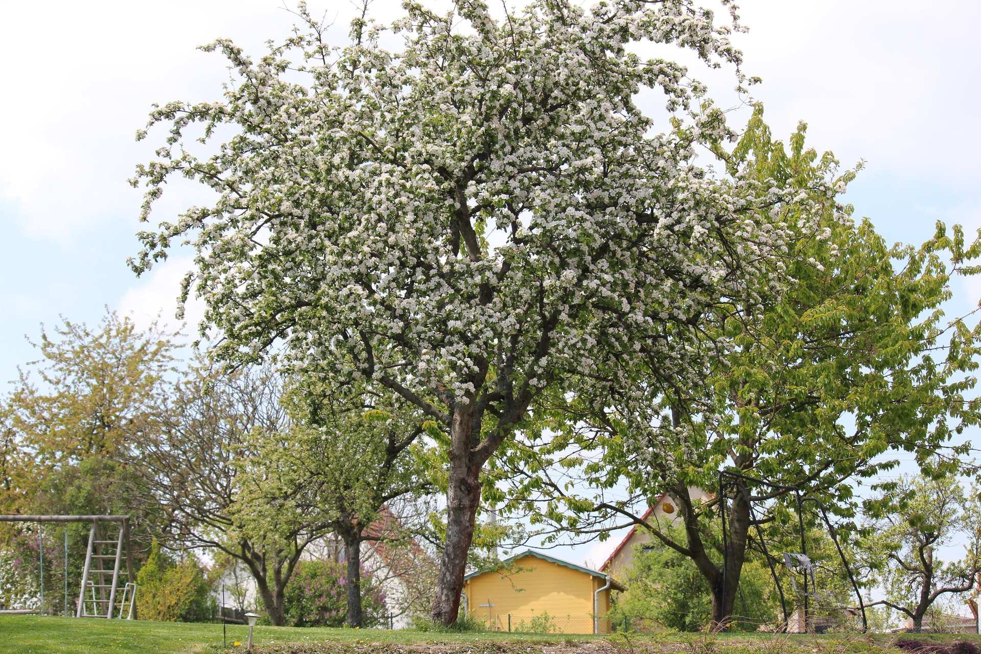 Bild: Garten